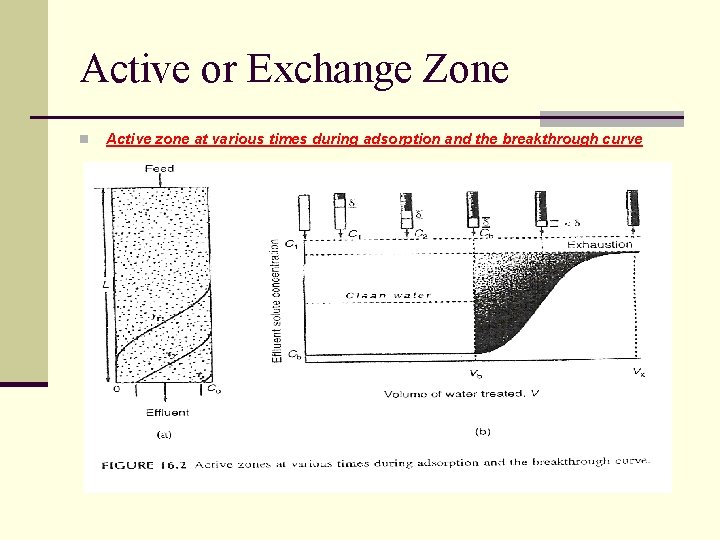 Active or Exchange Zone n Active zone at various times during adsorption and the