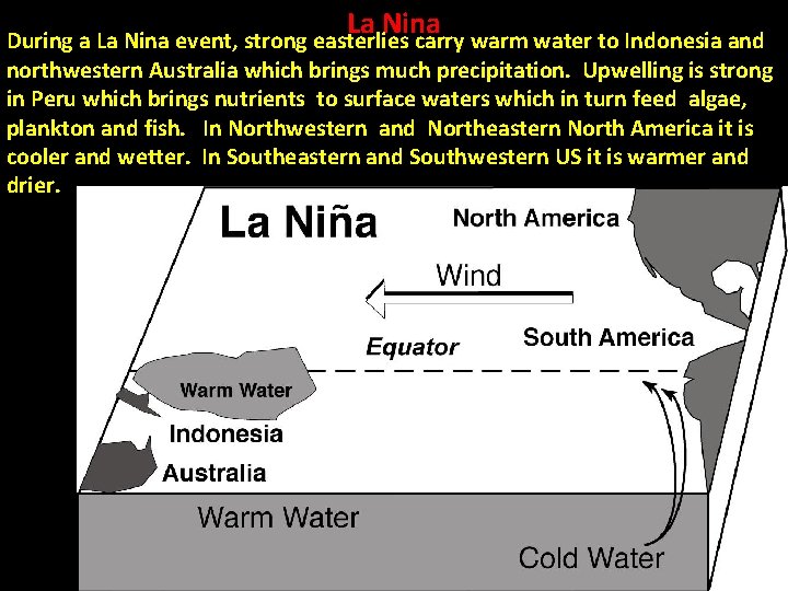 La Nina During a La Nina event, strong easterlies carry warm water to Indonesia