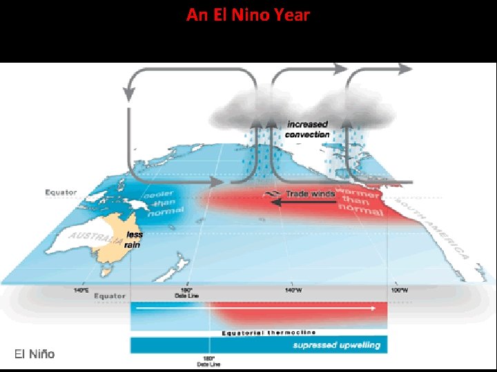 An El Nino Year 