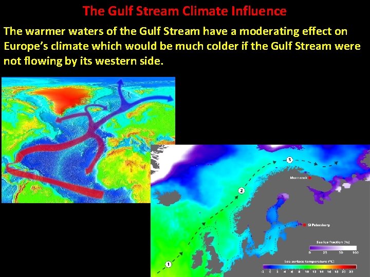 The Gulf Stream Climate Influence The warmer waters of the Gulf Stream have a