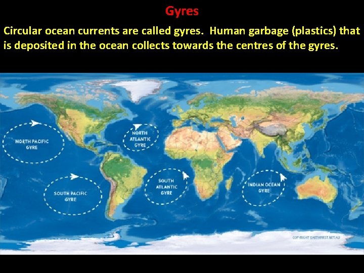 Gyres Circular ocean currents are called gyres. Human garbage (plastics) that is deposited in