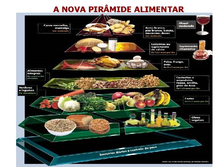 A NOVA PIR MIDE ALIMENTAR 14 