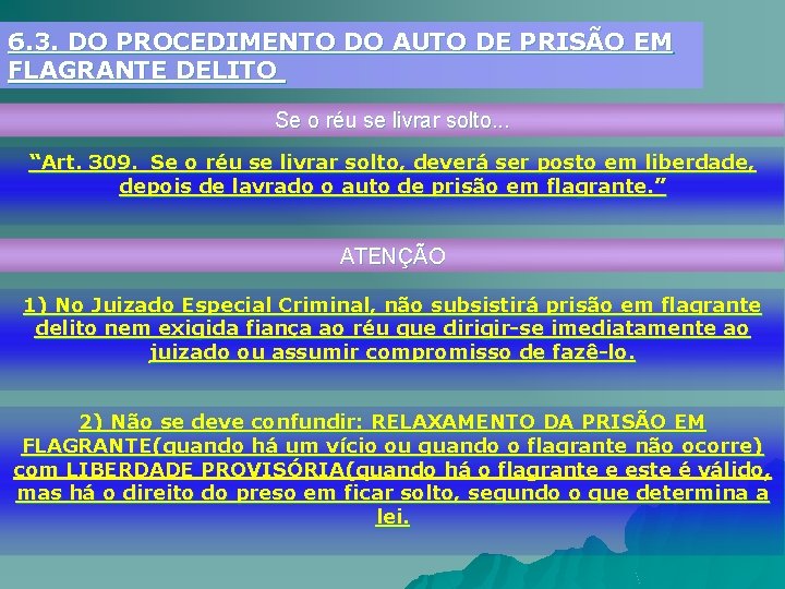 6. 3. DO PROCEDIMENTO DO AUTO DE PRISÃO EM FLAGRANTE DELITO Se o réu