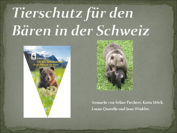 Tierschutz für den Bären in der Schweiz Gemacht von Seline Fiechter, Karin Mösli, Leana