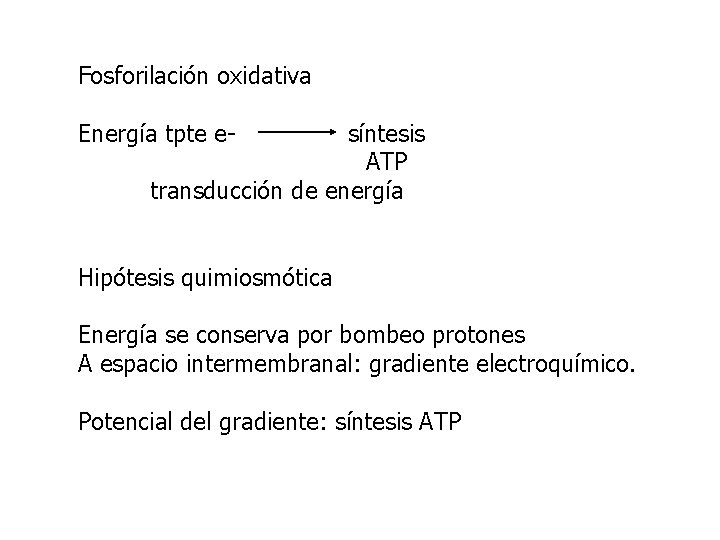 Fosforilación oxidativa Energía tpte e- síntesis ATP transducción de energía Hipótesis quimiosmótica Energía se