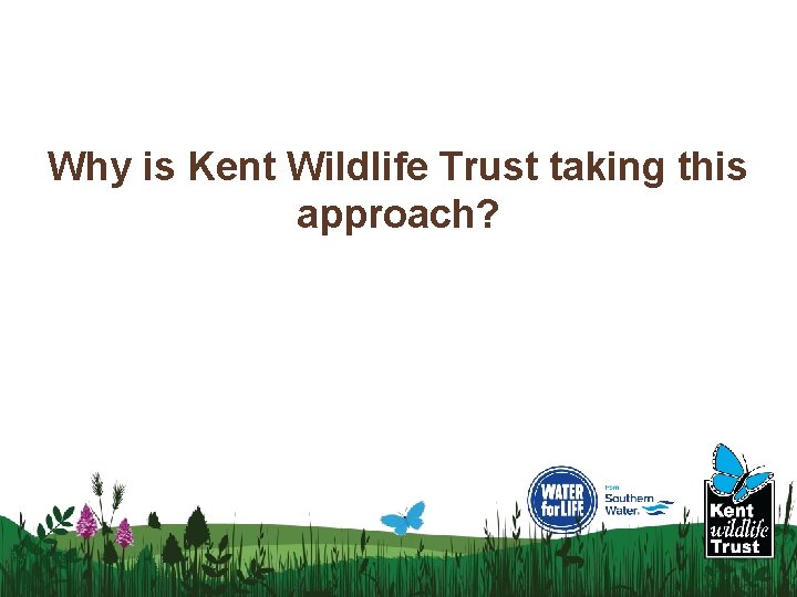 Why is Kent Wildlife Trust taking this approach? 