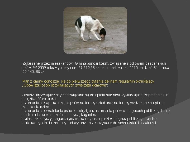 Zgłaszane przez mieszkańców. Gmina ponosi koszty związane z odłowem bezpańskich psów. W 2009 roku Zgłaszane przez mieszkańców. Gmina ponosi koszty związane z odłowem bezpańskich psów. W 2009 roku