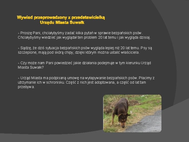 Wywiad przeprowadzony z przedstawicielką Urzędu Miasta Suwałk - Proszę Pani, chciałybyśmy zadać kilka pytań Wywiad przeprowadzony z przedstawicielką Urzędu Miasta Suwałk - Proszę Pani, chciałybyśmy zadać kilka pytań