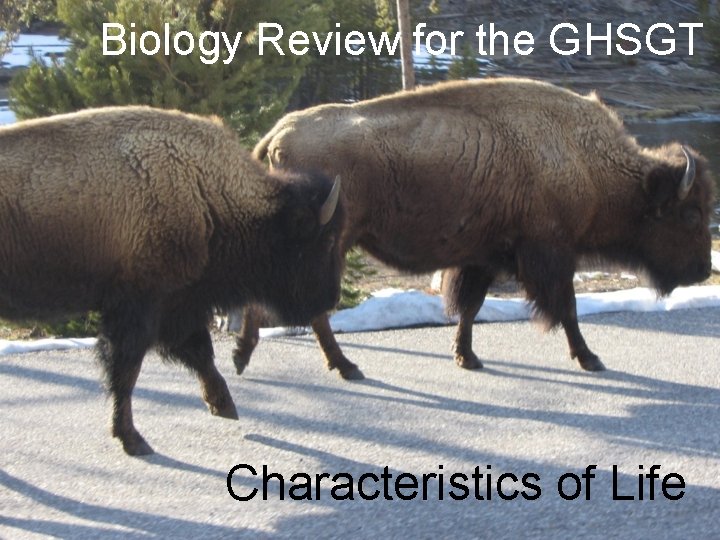 Biology Review for the GHSGT Characteristics of Life 