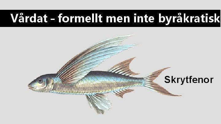 Vårdat – formellt men inte byråkratiskt Skrytfenor Vårdat – formellt men inte byråkratiskt Skrytfenor