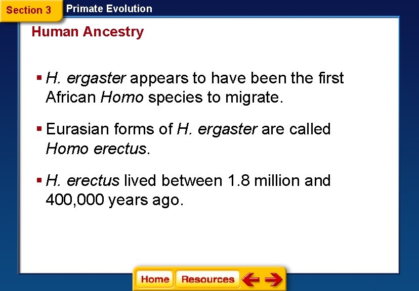 Section 3 Primate Evolution Human Ancestry § H. ergaster appears to have been the