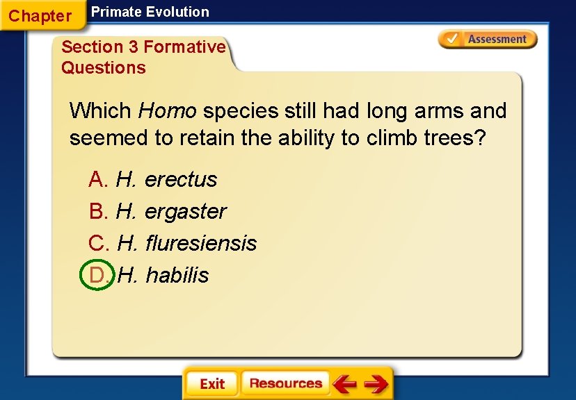 Chapter Primate Evolution Section 3 Formative Questions Which Homo species still had long arms