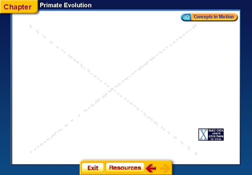 Chapter Primate Evolution 