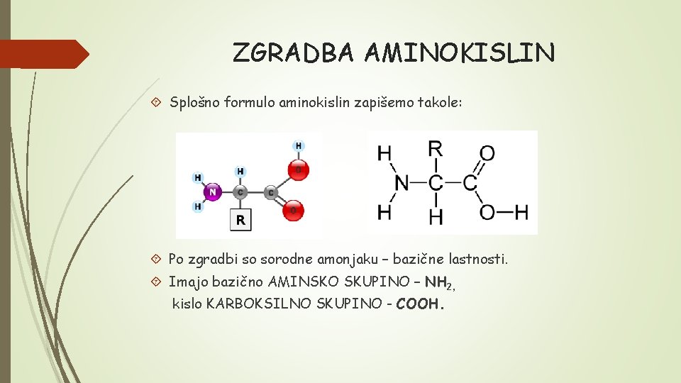 ZGRADBA AMINOKISLIN Splošno formulo aminokislin zapišemo takole: Po zgradbi so sorodne amonjaku – bazične