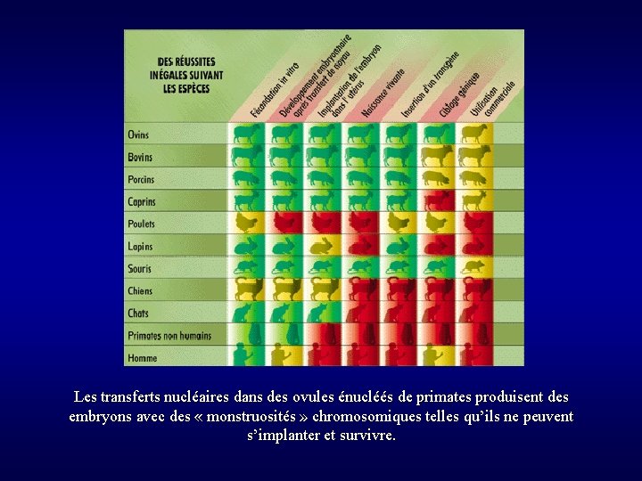 Les transferts nucléaires dans des ovules énucléés de primates produisent des embryons avec des