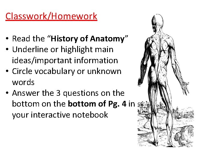 Classwork/Homework • Read the “History of Anatomy” • Underline or highlight main ideas/important information