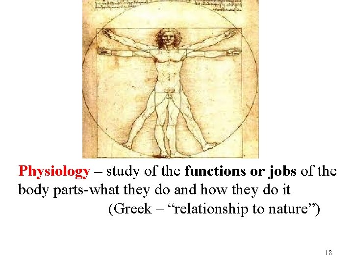 Physiology – study of the functions or jobs of the body parts-what they do