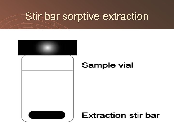Stir bar sorptive extraction 