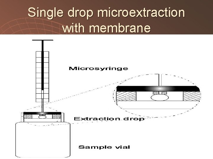 Single drop microextraction with membrane 