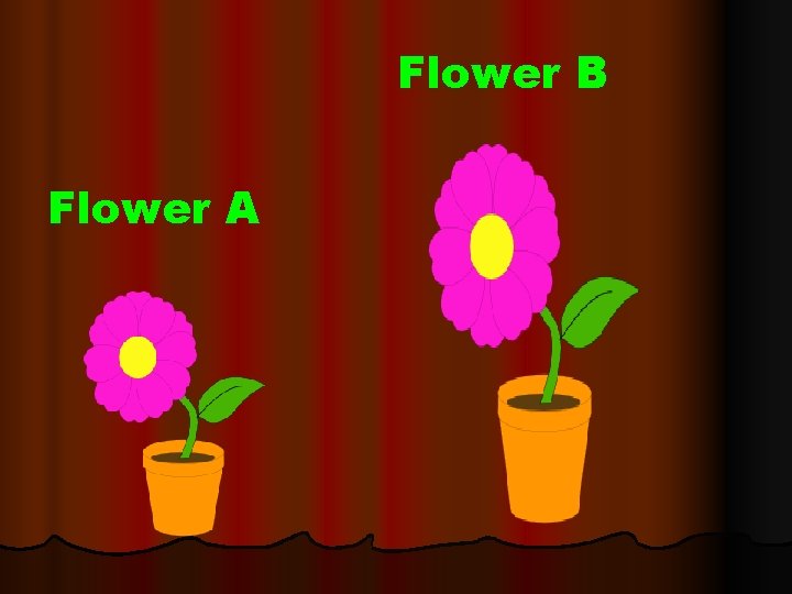 Flower B Flower A 