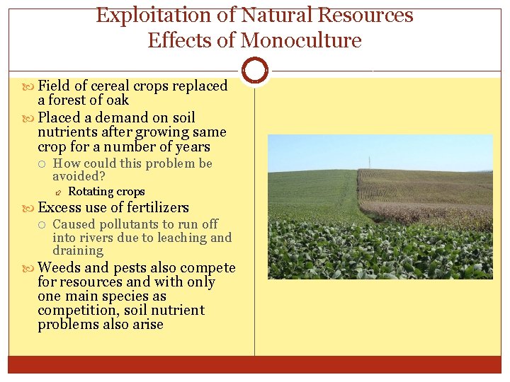 Exploitation of Natural Resources Effects of Monoculture Field of cereal crops replaced a forest
