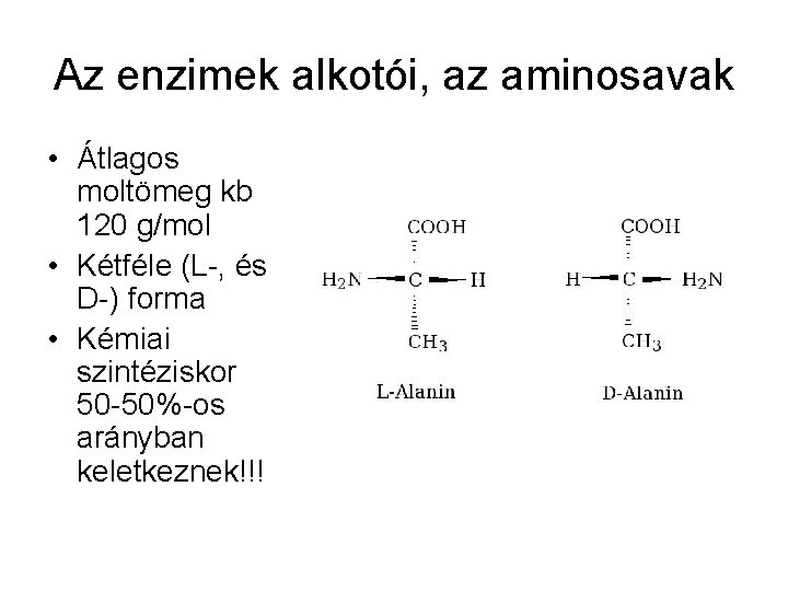 Az enzimek alkotói, az aminosavak • Átlagos moltömeg kb 120 g/mol • Kétféle (L-,