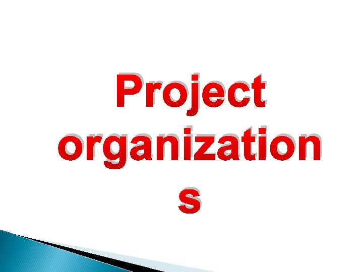 Project organization s 