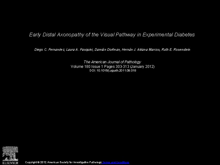 Early Distal Axonopathy of the Visual Pathway in Experimental Diabetes Diego C. Fernandez, Laura