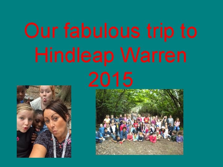 Our fabulous trip to Hindleap Warren 2015 