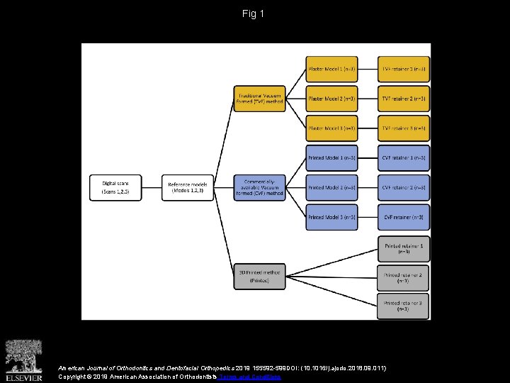 Fig 1 American Journal of Orthodontics and Dentofacial Orthopedics 2019 155592 -599 DOI: (10.