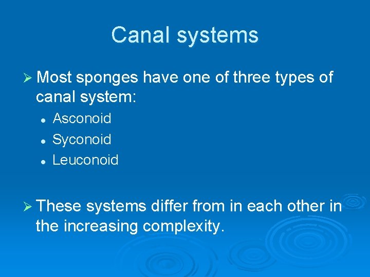 Canal systems Ø Most sponges have one of three types of canal system: l