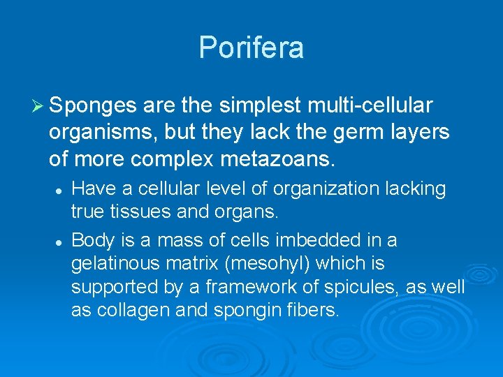 Porifera Ø Sponges are the simplest multi-cellular organisms, but they lack the germ layers