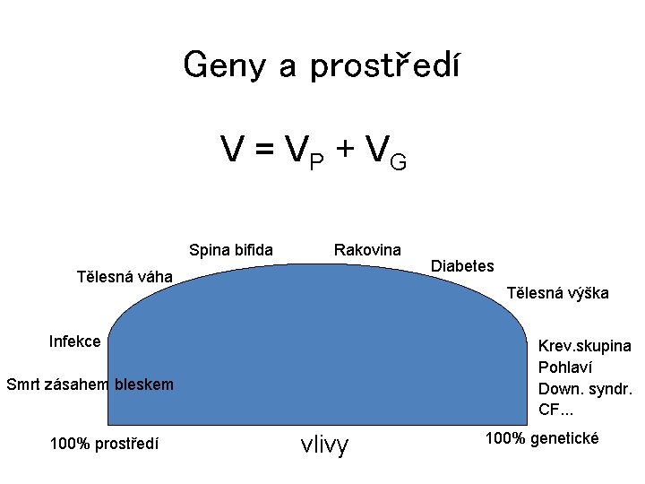 Geny a prostředí V = V P + VG Spina bifida Rakovina Tělesná váha