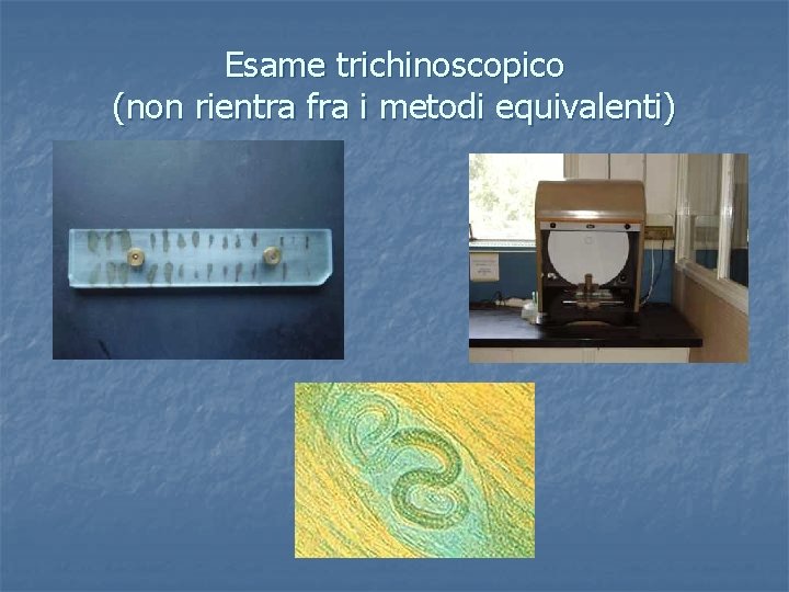 Esame trichinoscopico (non rientra fra i metodi equivalenti) 