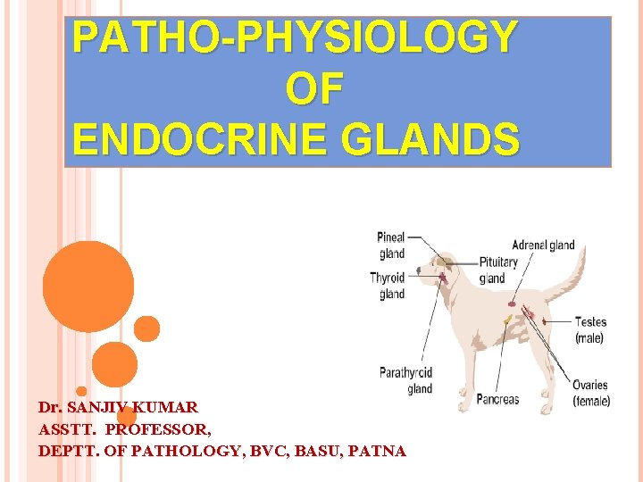 PATHO-PHYSIOLOGY OF ENDOCRINE GLANDS Dr. SANJIV KUMAR ASSTT. PROFESSOR, DEPTT. OF PATHOLOGY, BVC, BASU,