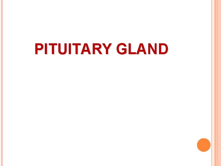 PITUITARY GLAND 