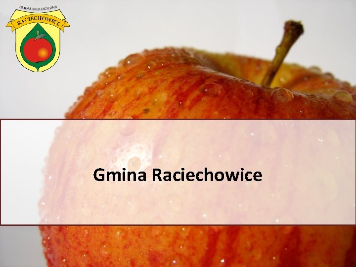 Gmina Raciechowice 