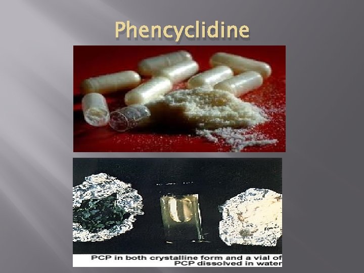 Phencyclidine 