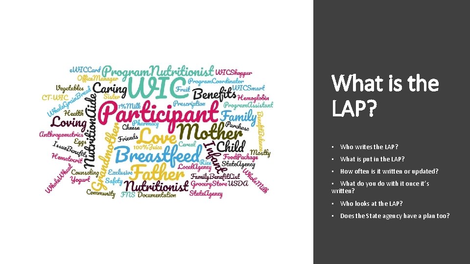 What is the LAP? • Who writes the LAP? • What is put in