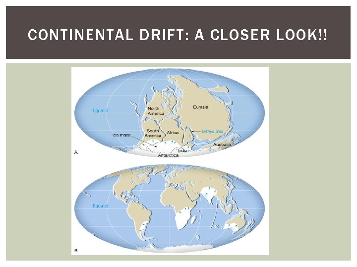 CONTINENTAL DRIFT: A CLOSER LOOK!! 