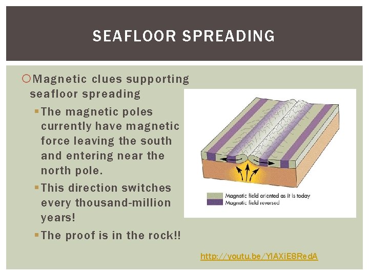 SEAFLOOR SPREADING Magnetic clues supporting seafloor spreading § The magnetic poles currently have magnetic