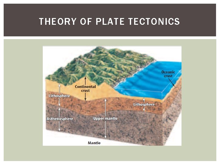 THEORY OF PLATE TECTONICS 