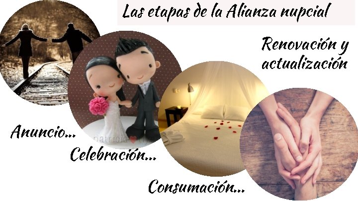 Las etapas de la Alianza nupcial Renovación y actualización Anuncio. . . Celebración. .