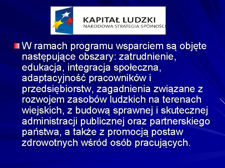 W ramach programu wsparciem są objęte następujące obszary: zatrudnienie, edukacja, integracja społeczna, adaptacyjność pracowników