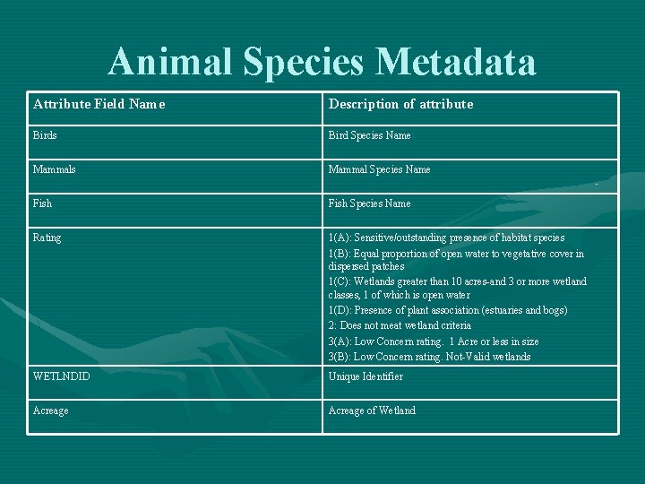 Animal Species Metadata Attribute Field Name Description of attribute Birds Bird Species Name Mammals