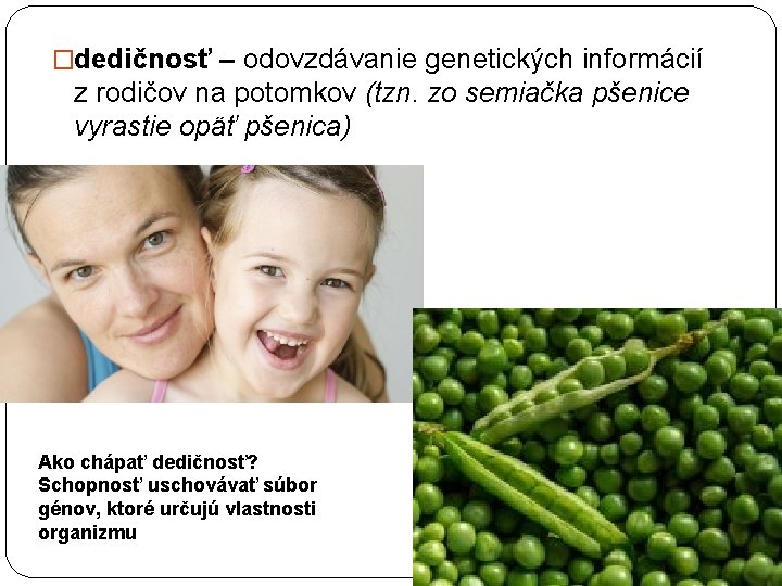 �dedičnosť – odovzdávanie genetických informácií z rodičov na potomkov (tzn. zo semiačka pšenice vyrastie