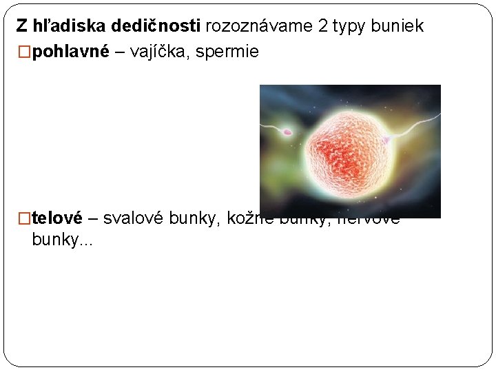 Z hľadiska dedičnosti rozoznávame 2 typy buniek �pohlavné – vajíčka, spermie �telové – svalové