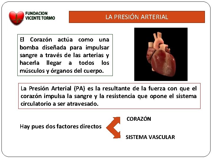 LA PRESIÓN ARTERIAL El Corazón actúa como una bomba diseñada para impulsar sangre a