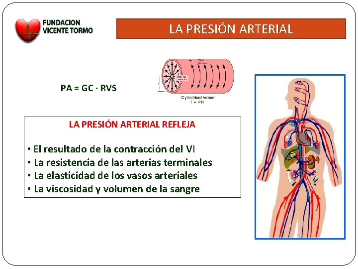 LA PRESIÓN ARTERIAL PA = GC · RVS LA PRESIÓN ARTERIAL REFLEJA • El