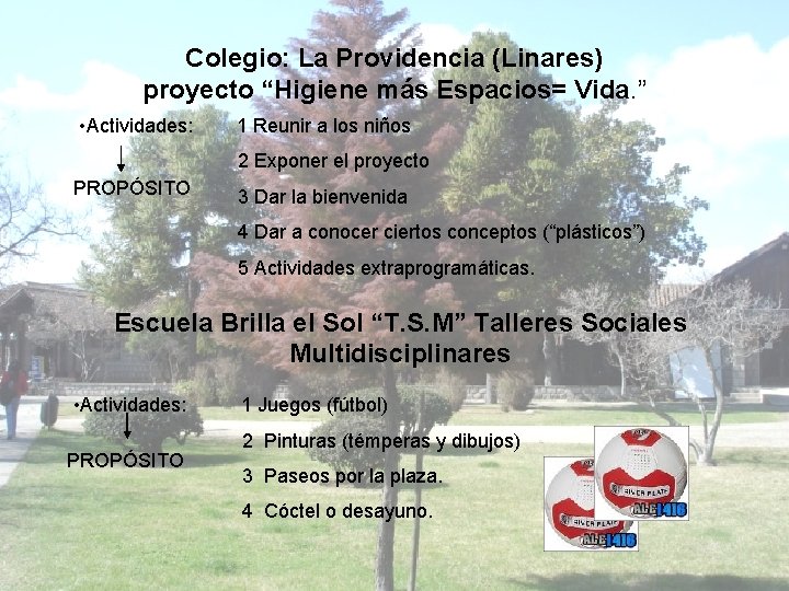 Colegio: La Providencia (Linares) proyecto “Higiene más Espacios= Vida. ” • Actividades: 1 Reunir